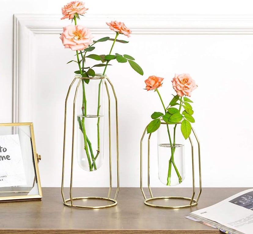 NUPTIO Flower Vase Terrarium Planters (2-Pack)