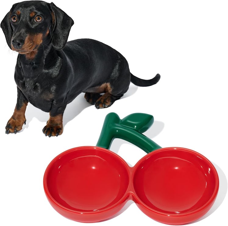 VETRESKA Ceramic Cherry Pet Bowl