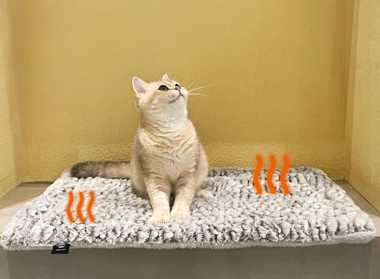 MoraPets Self-Warming Cat Bed