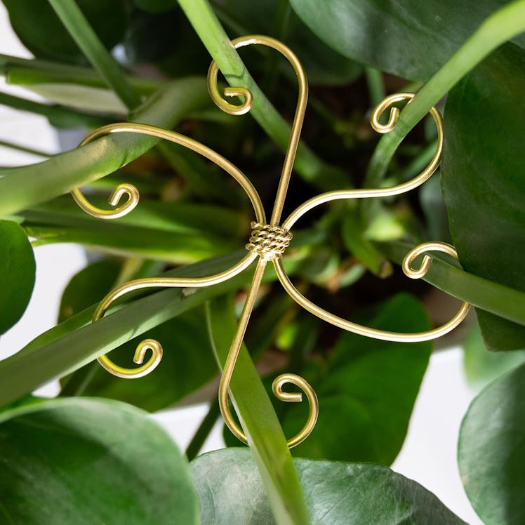 Yohsnor Plant Support System (5 Pieces)