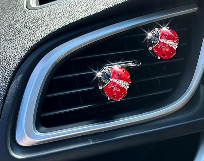 ORIESSE Ladybug Vent Clips (2-Pack)