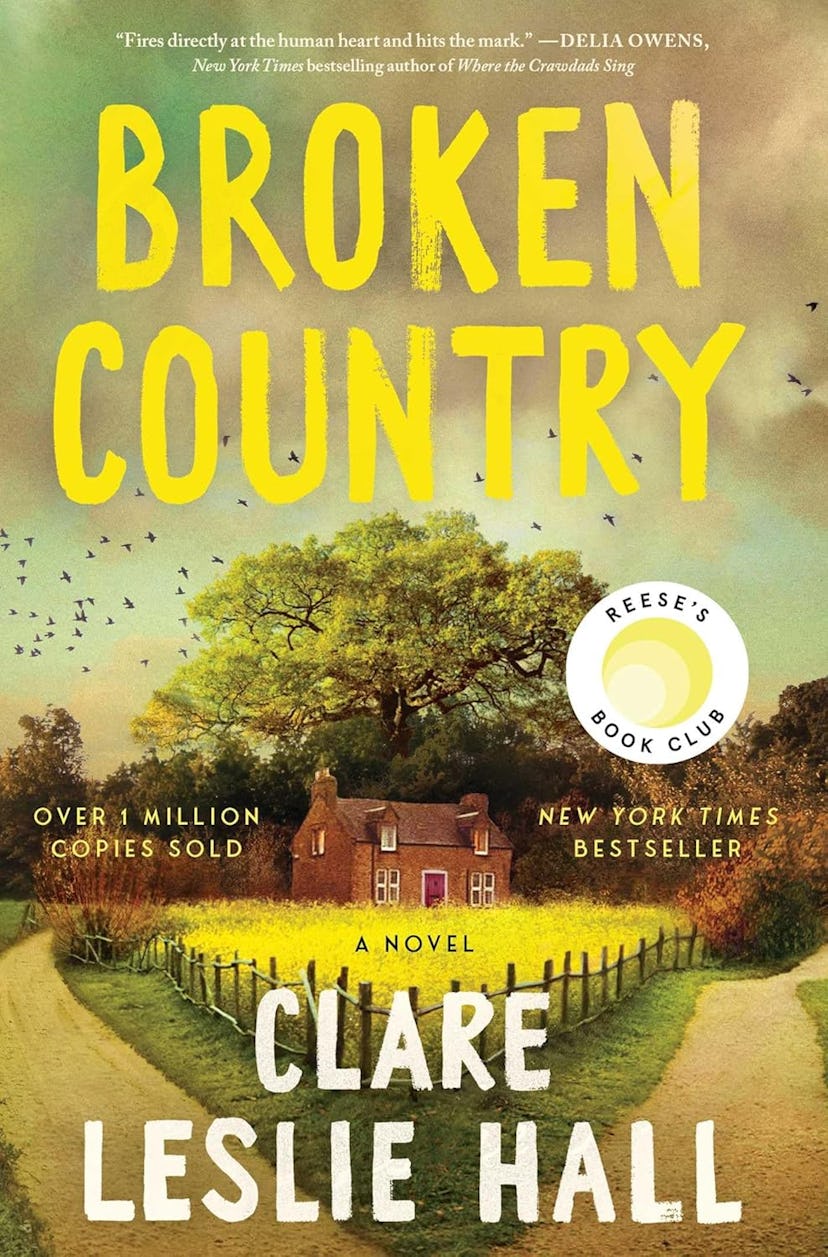 'Broken Country' by Clare Leslie Hall 
