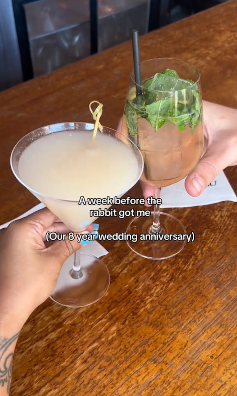 The rabbit got me meme.