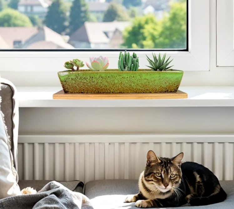 ARTKETTY Succulent Pot