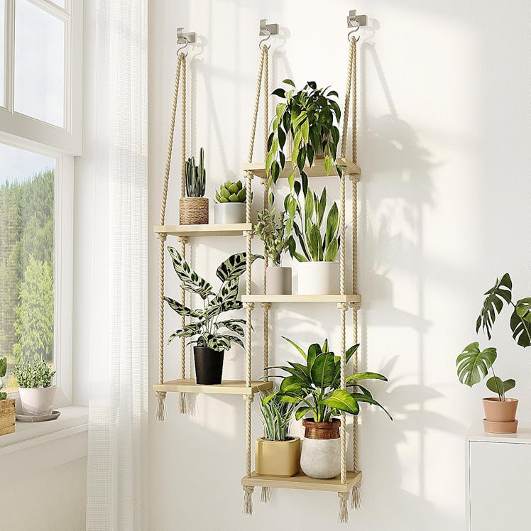 Bamworld Hanging Plant Shelves