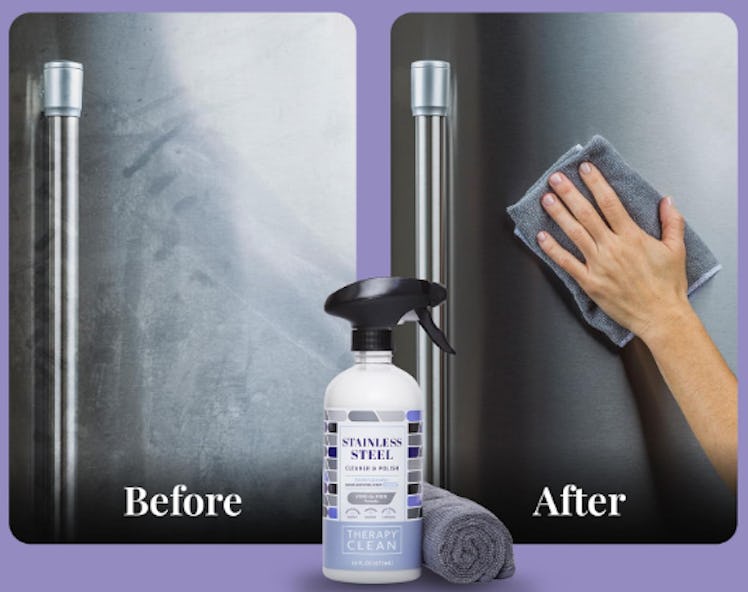 Therapy Stainless Steel Cleaner Kit