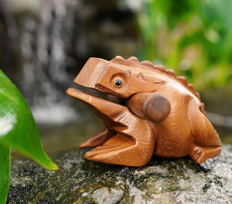 BSIRI 5" Wooden Frog Rasp