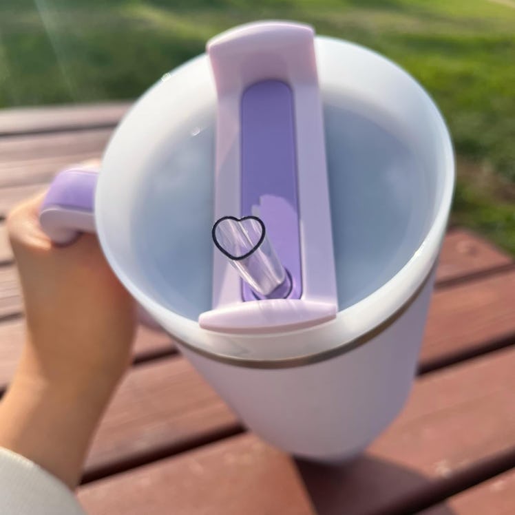 The best MOON Reusable Plastic Heart Straws for Stanley Cups (4-Pack)