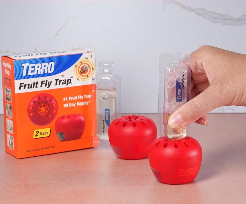 TERRO Fruit Fly Traps for Indoors (4-Pack)