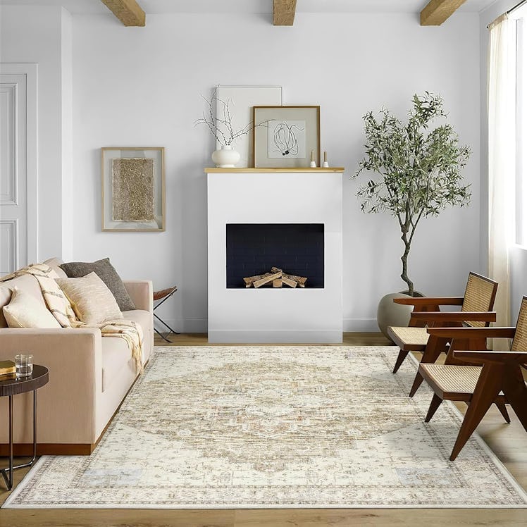  BILEEHOME Washable Living Room Rug