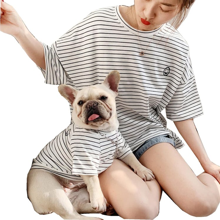 Wiz BBQT Matching Dog & Owner Shirts