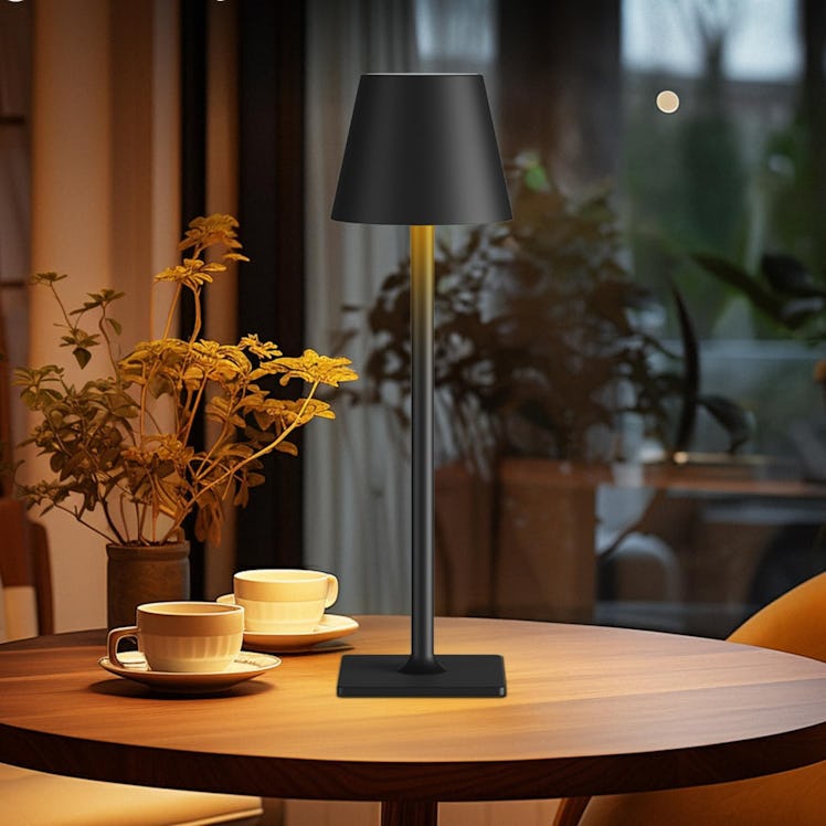 Fizrice Cordless Table Lamp (2-Pack)