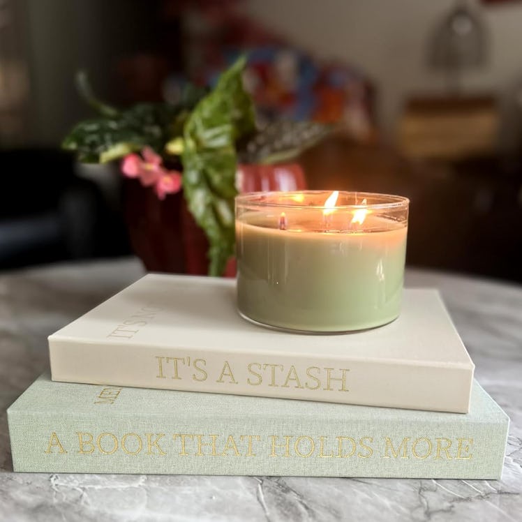 TOIPINIO Decorative Books (Set of 2)