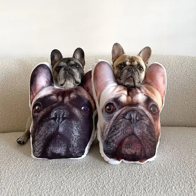 Petsies Create-Your-Own Custom Pet Pillow — Medium