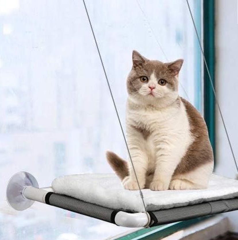 ZALALOVA Cat Window Perch