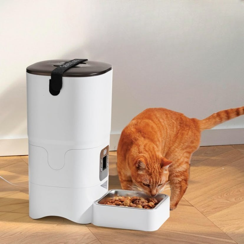 Pitpet Smart Automatic Cat Feeder