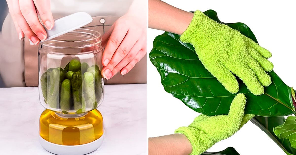 65 bizarre things under $25 on Amazon that are cool as hell