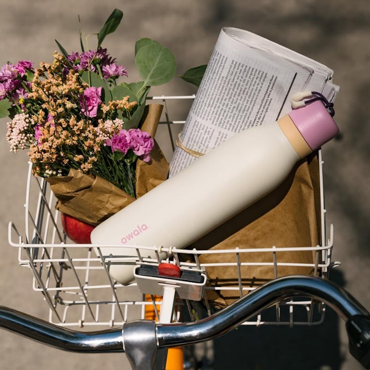 Owala FreeSip Insulated Stainless Steel Water Bottle