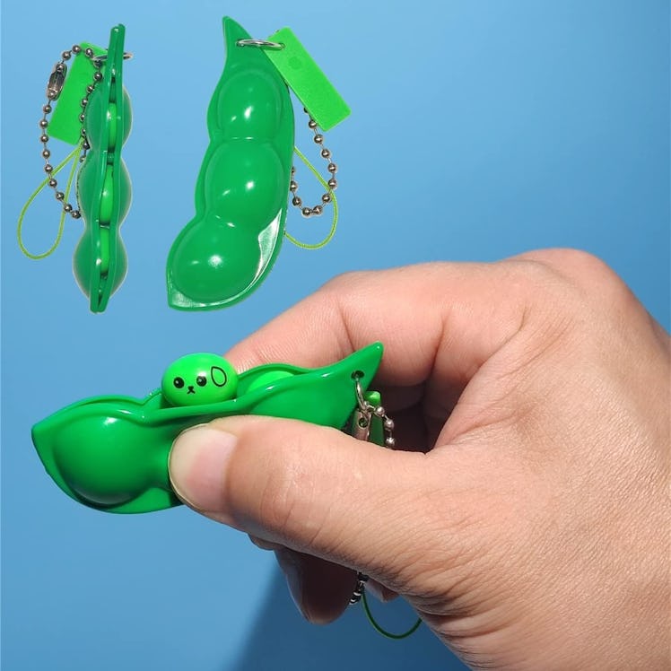 Ganjiang Squeeze Bean Keychain Fidget Toys (12 Pieces)