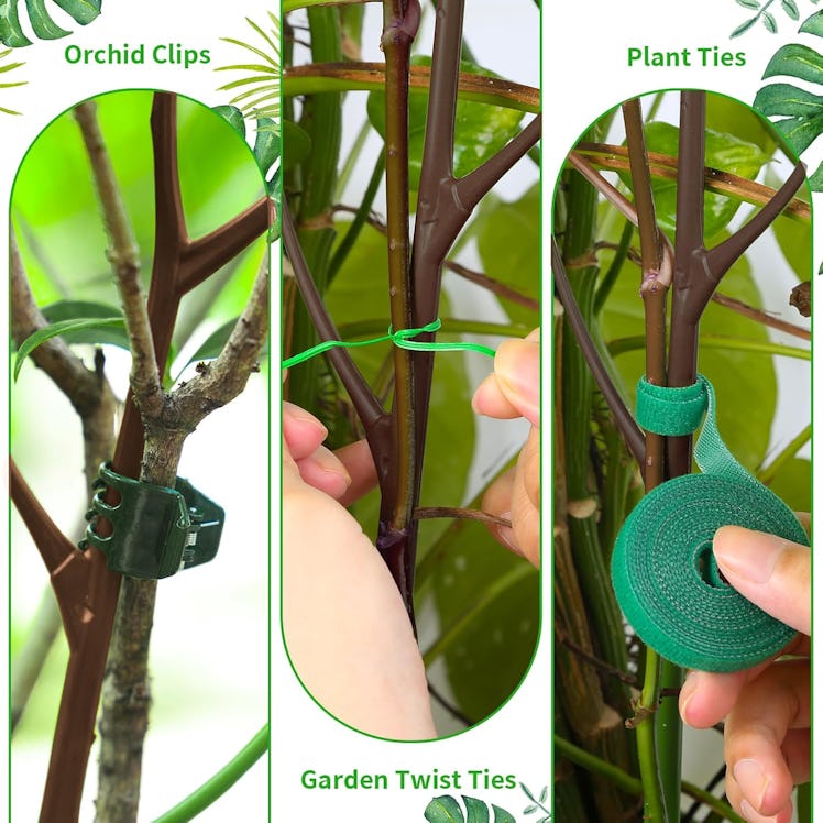 ROADPLUM Twig Plant Supports (4-Pack)