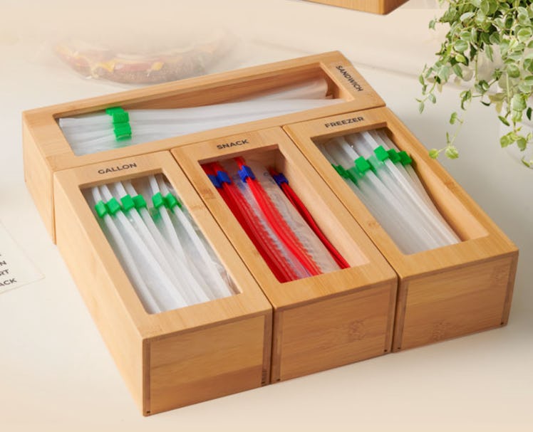 WOODENHOUSE Storage Bag Organizer (Set of 4)