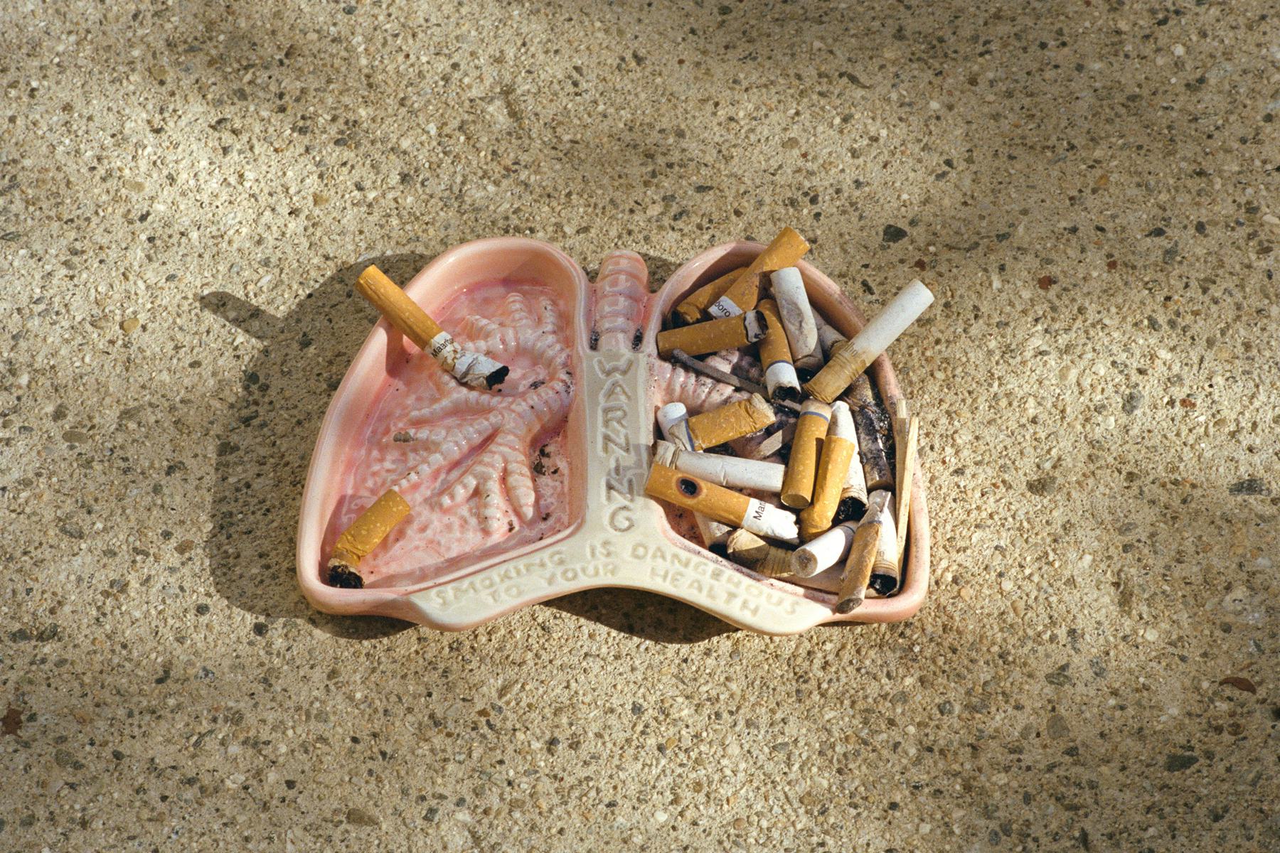 nadia lee cohen holy ohio