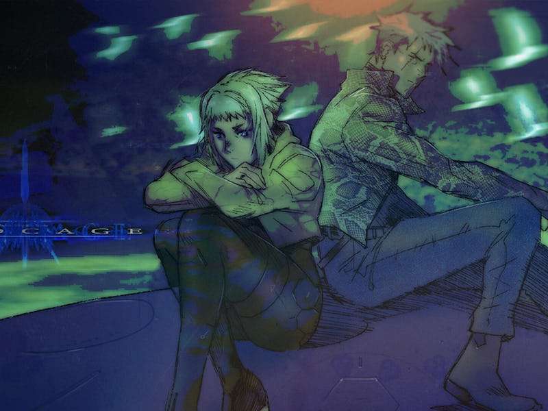 key art from Birdcage