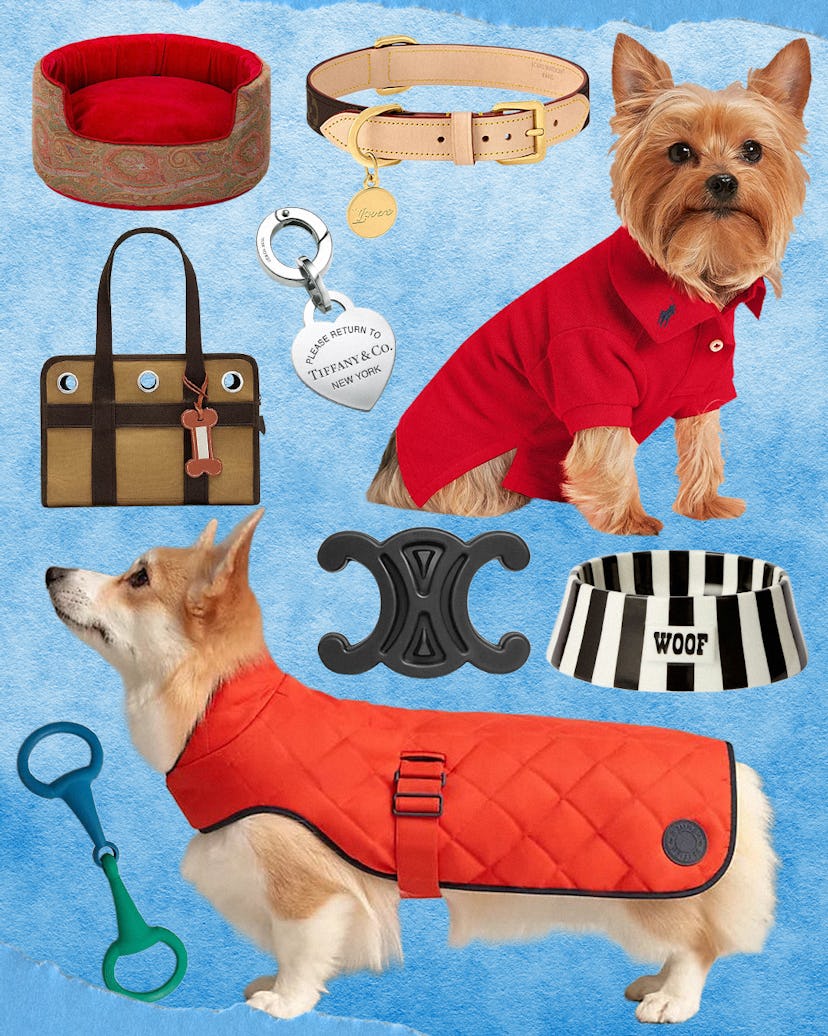 A collage of pet gifts