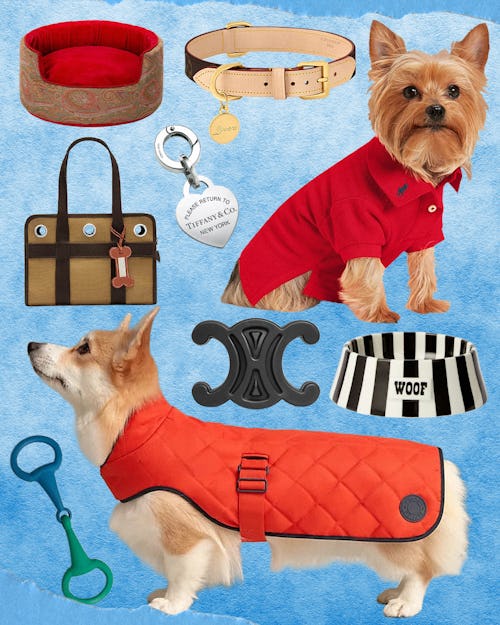 The 36 Best Dog Accessories and Gifts for Dog Lovers
