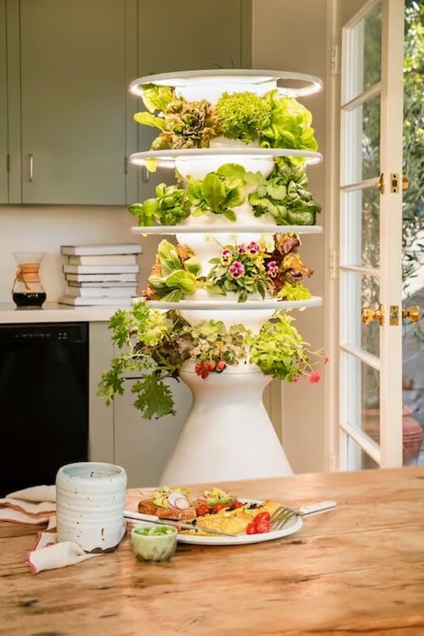 Lettuce Grown Original Farmstand — Indoor