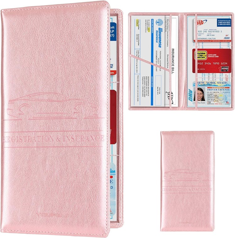 TOURSUIT Vehicle License Document Holder