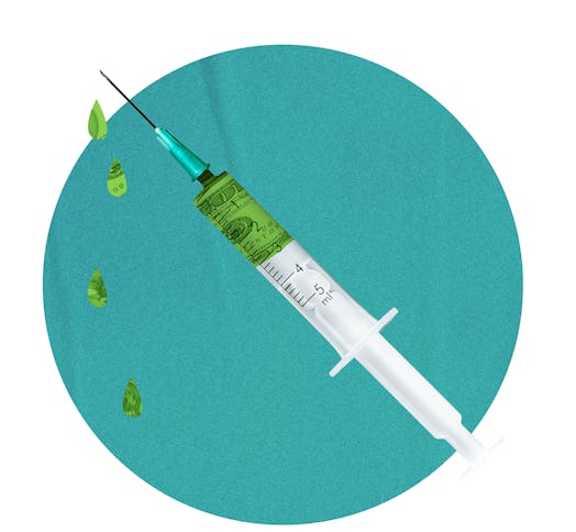 Will Plastic Surgery Make You Richer? The Science of Attractiveness