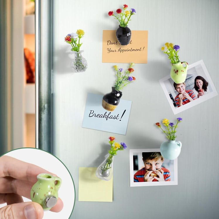 rhinocats Mini Vase Magnets (6-Pack) 