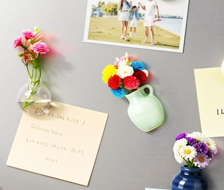 Renmxj Mini Vase Magnets (8-Pack)