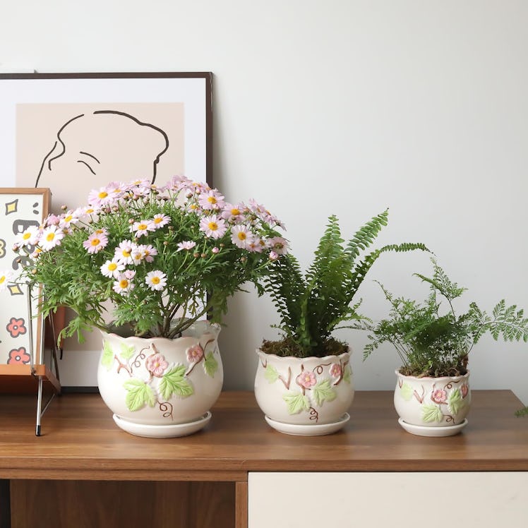 STHIE Drainage Plant Pots (3 Pieces)