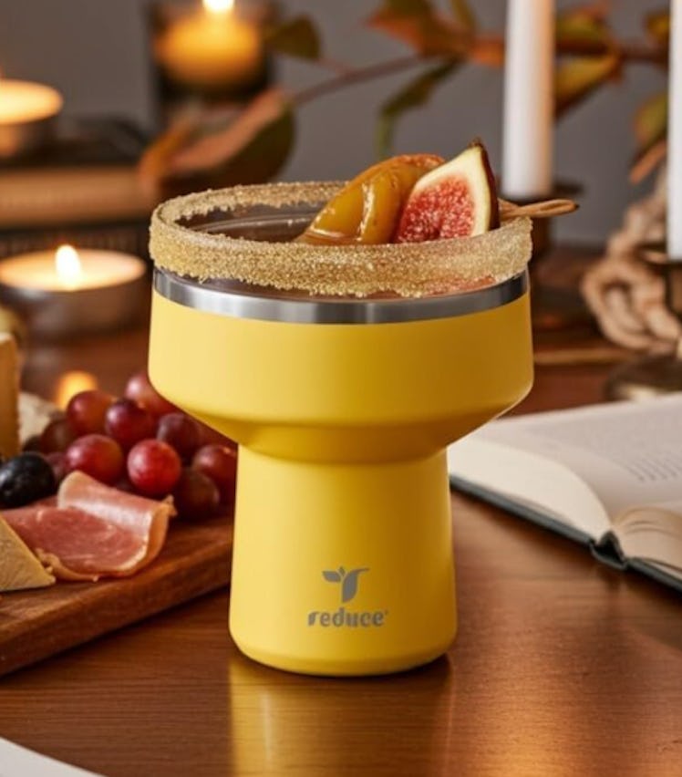 REDUCE Saltini Insulated Margarita Tumbler with Lid