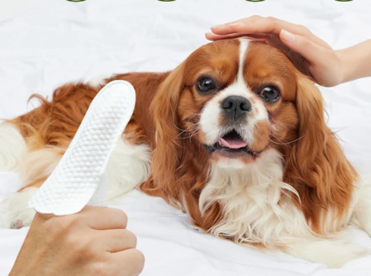 PawSono Pet Ear Wipes (50 Count)