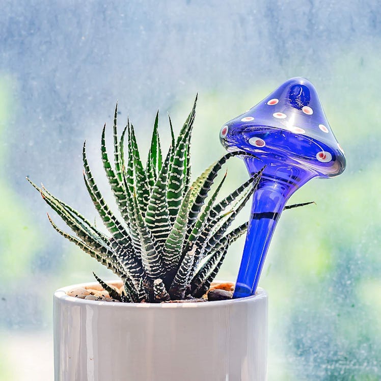 Kikunum Plant Glass Watering Globes (Set of 4) 