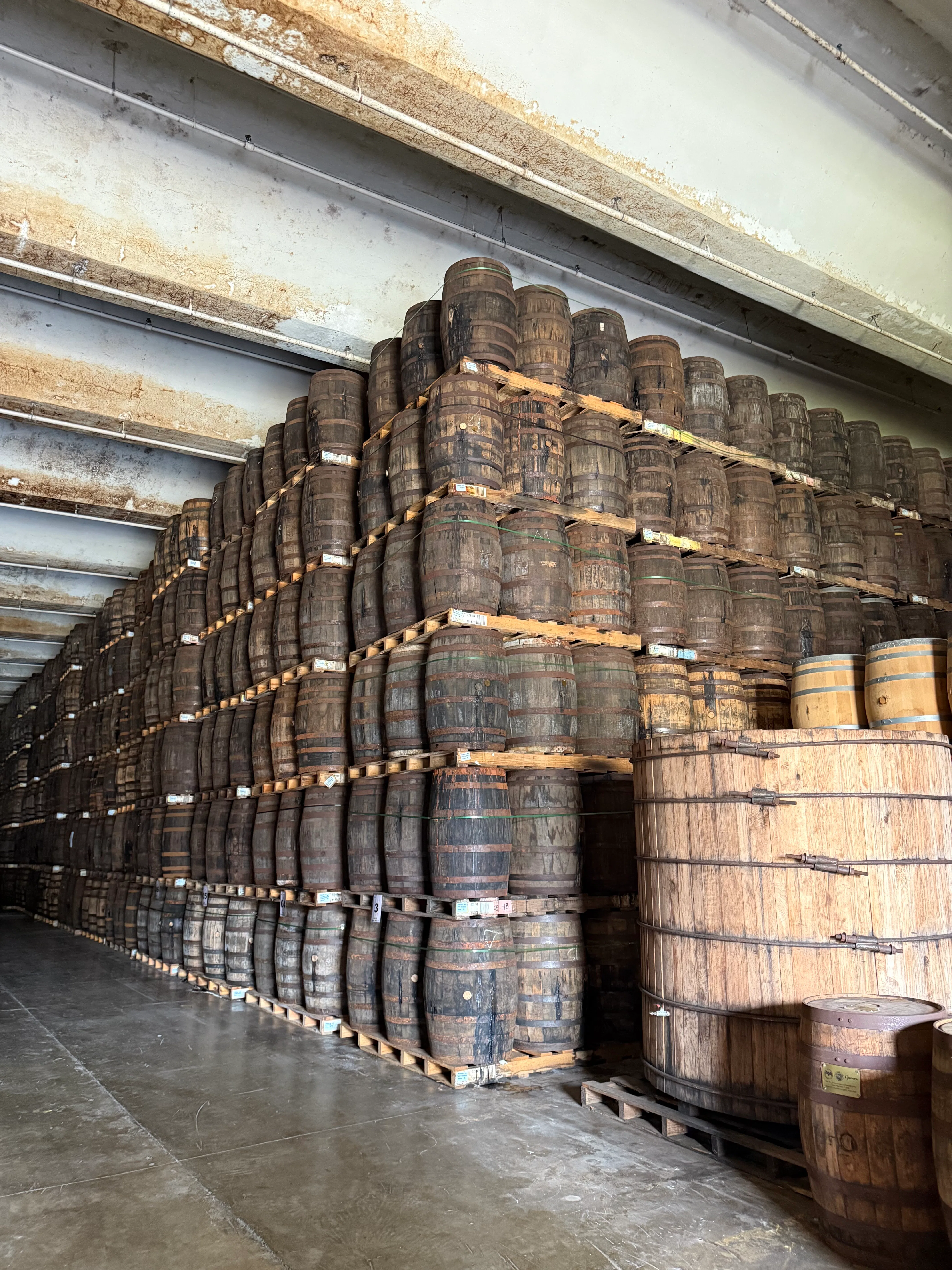 The Casa Bacardi Distillery tour. 