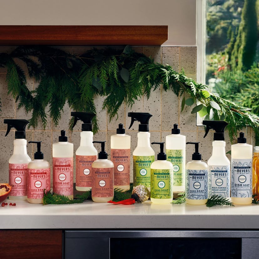 Holiday Features Cleaning Collection