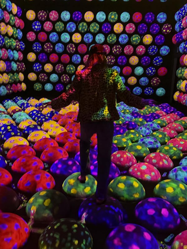 Hailey Bieber cosigned 2026's hottest animal print trend in a pair of zebra print pants.