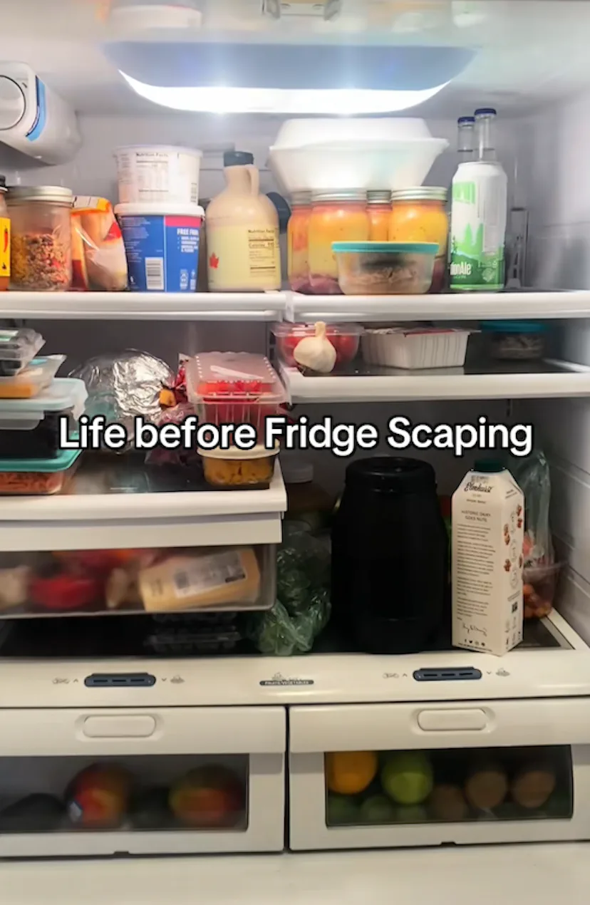 Fridgescaping.