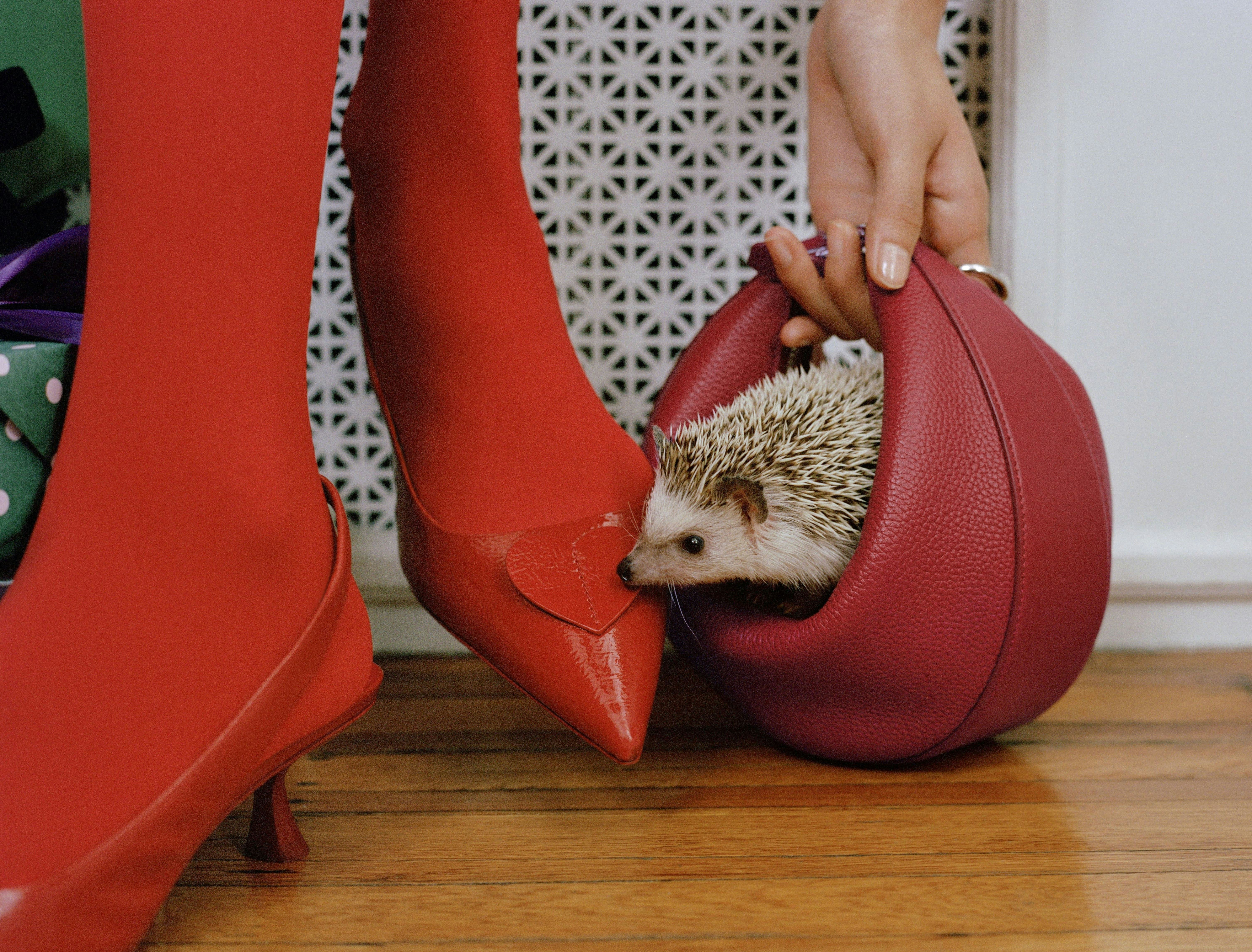 Kate Spade's 4-In-1 Handbag Is On Everyone's Wishlist - Including Mine