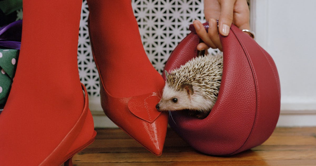 Kate Spade's 4-In-1 Handbag Is On Everyone's Wishlist - Including Mine