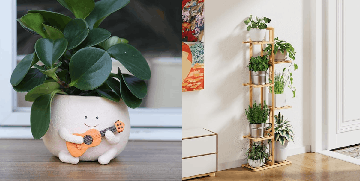 mic.com - BDG Commerce - Giftable Outdoor & Plant Upgrades That Look Bougie Just in Time for the Holidays