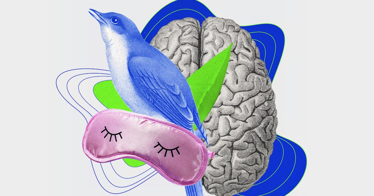 De eenvoudigweg vreemde manieren waarop vogels slapen en wat dit betekent voor de slaapwetenschap De eenvoudigweg vreemde manieren waarop vogels slapen en wat dit betekent voor de slaapwetenschap