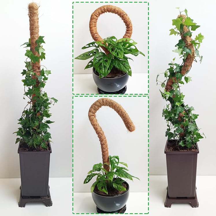 Soupiar Bendable Moss Poles (2-Pack)