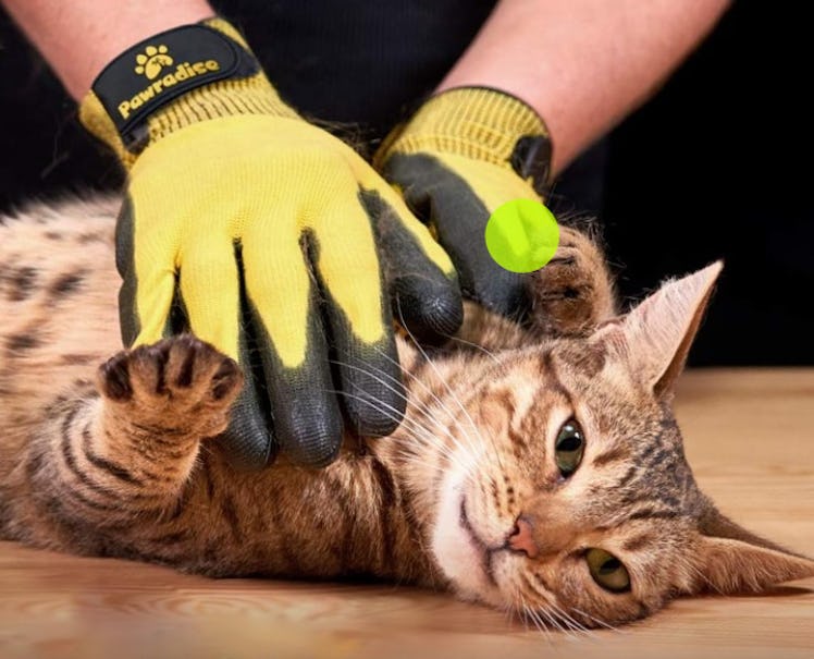 Pawradise Pet Grooming & Bathing Gloves