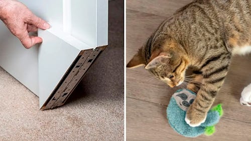 60 Weird Things You Didn't Know About That Make Having A Cat So Much Easier
