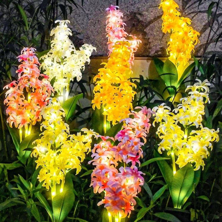 TONULAX Hyacinth Solar Garden Lights